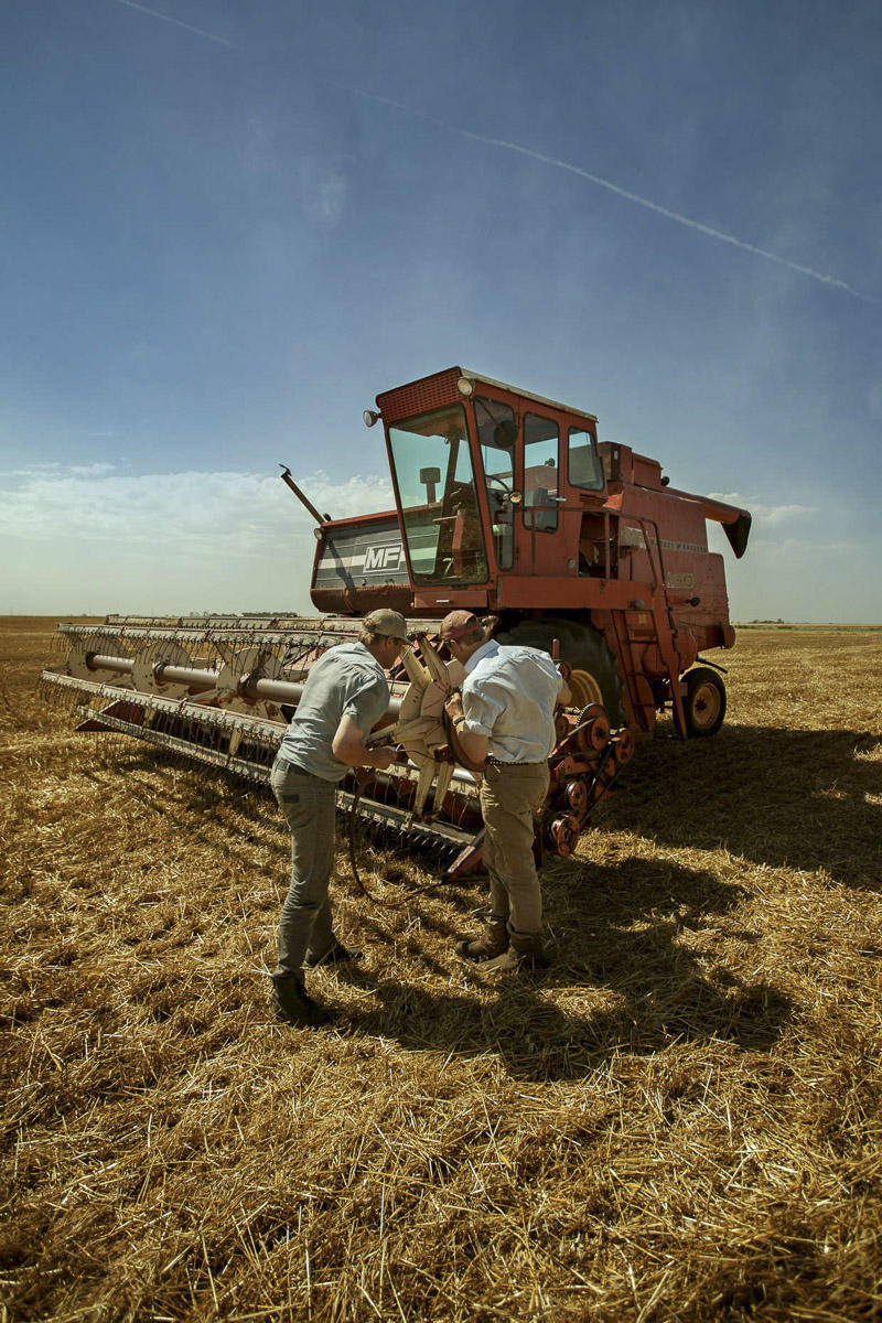 © Brett Deering | Oklahoma Agricultural Advertising Photography