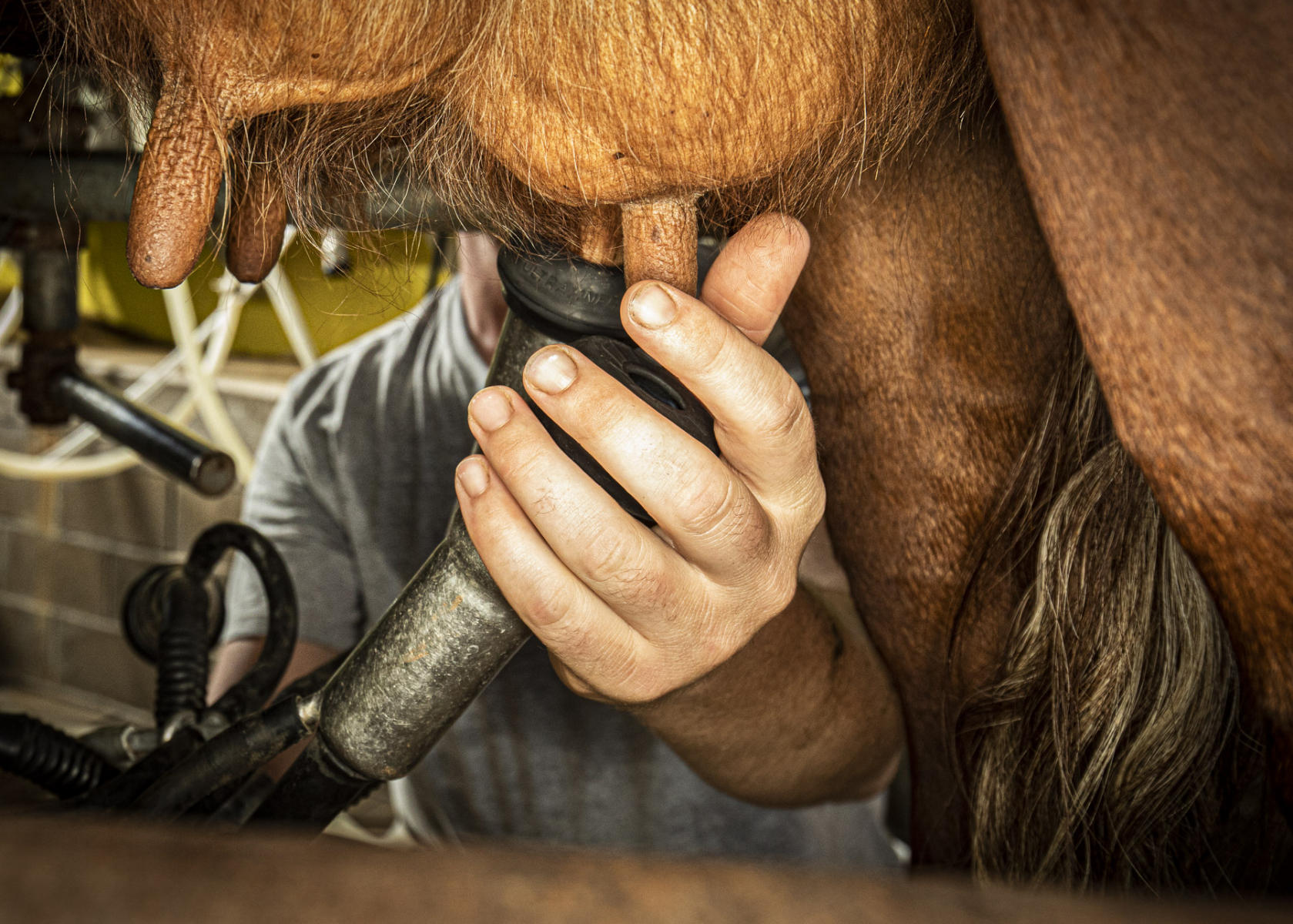 © Brett Deering | Oklahoma Agricultural Advertising Photography
