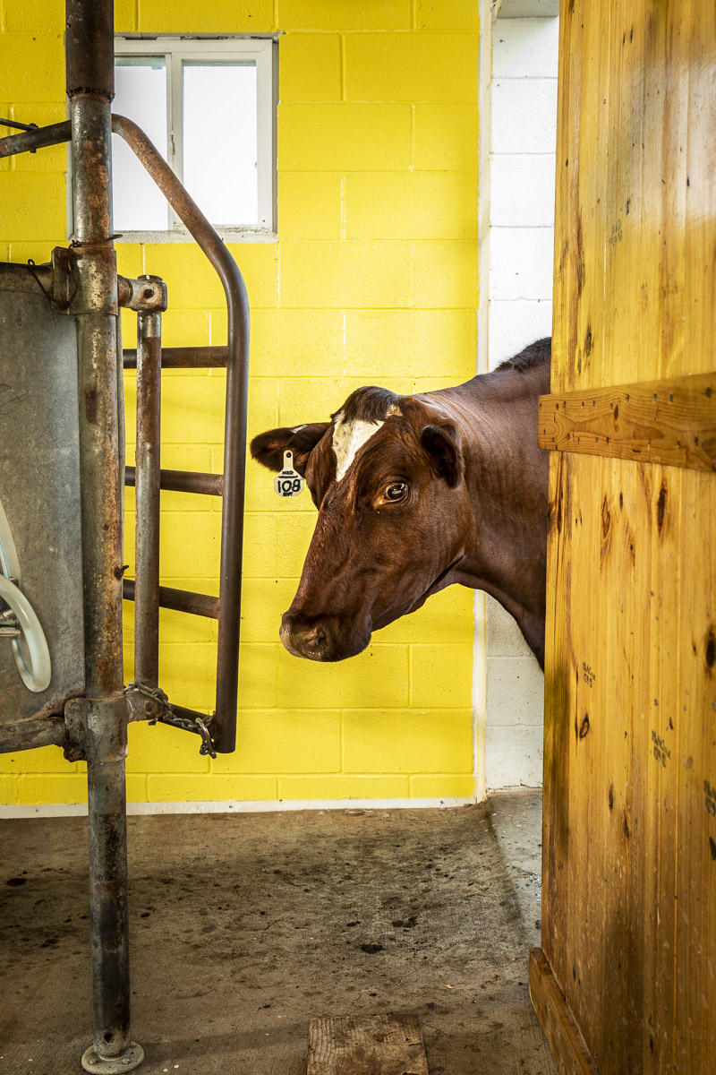 © Brett Deering | Oklahoma Agricultural Advertising Photography