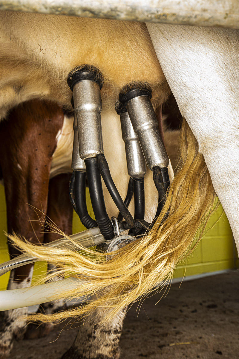 © Brett Deering | Oklahoma Agricultural Advertising Photography