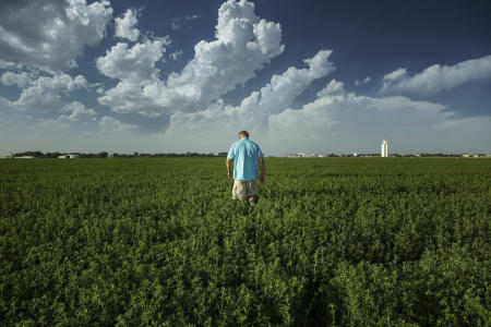 © Brett Deering | Oklahoma Agricultural Advertising Photography