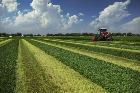 © Brett Deering | Oklahoma Agricultural Advertising Photography
