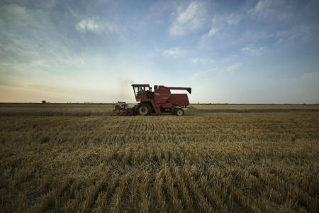 © Brett Deering | Oklahoma Agricultural Advertising Photography