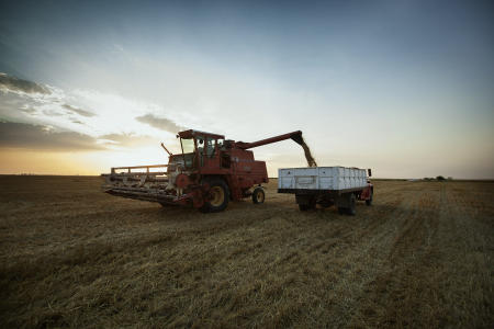 © Brett Deering | Oklahoma Agricultural Advertising Photography