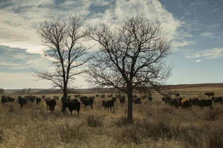 © Brett Deering | Oklahoma Agricultural Advertising Photography