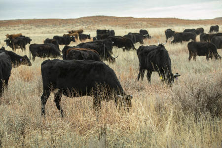 © Brett Deering | Oklahoma Agricultural Advertising Photography